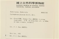 登錄號:B00021302藏品圖，第2張