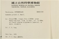 登錄號:B00021303藏品圖，第2張