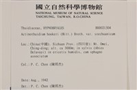 登錄號:B00021304藏品圖，第2張