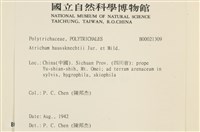 仙鶴蘚藏品圖，第2張