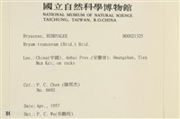 登錄號:B00021325藏品圖，第2張