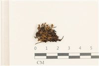登錄號:B00021325藏品圖，第1張
