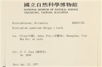 東亞蝦蘚藏品圖，第2張