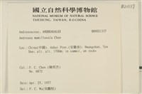 登錄號:B00021337藏品圖，第2張