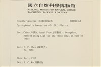 登錄號:B00021364藏品圖，第2張