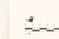登錄號:B00021364藏品圖，第1張