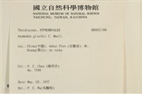 登錄號:B00021398藏品圖，第2張