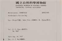 登錄號:B00021404藏品圖，第2張