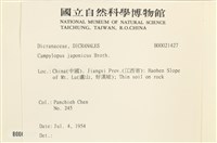 日本曲柄蘚藏品圖，第2張