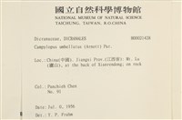 登錄號:B00021428藏品圖，第2張