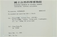 粗毛青毛蘚藏品圖，第2張