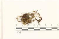 登錄號:B00021444藏品圖，第1張