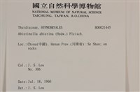 山羽蘚藏品圖，第2張