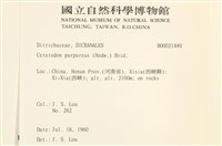 角齒蘚藏品圖，第2張