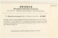 登錄號:B00021467藏品圖，第2張
