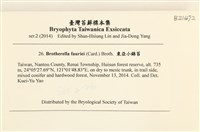東亞小錦蘚藏品圖，第2張