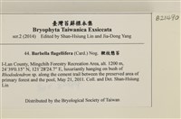 鞭枝懸蘚藏品圖，第2張