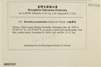 大熱澤蘚藏品圖，第2張