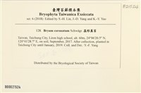 蕊形真蘚藏品圖，第2張