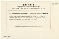 登錄號:B00021539藏品圖，第2張