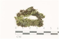 登錄號:B00021540藏品圖，第1張