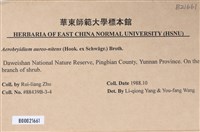 登錄號:B00021661藏品圖，第2張