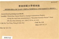 登錄號:B00021665藏品圖，第2張