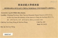 皺葉牛舌蘚藏品圖，第2張