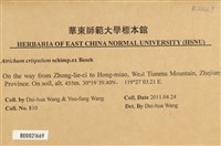 卷葉仙鶴蘚藏品圖，第2張