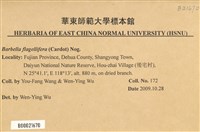 鞭枝懸蘚藏品圖，第2張
