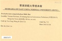 登錄號:B00021679藏品圖，第2張