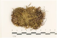 登錄號:B00021680藏品圖，第1張