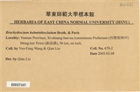 登錄號:B00021681藏品圖，第2張