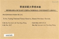 溪邊青蘚藏品圖，第2張
