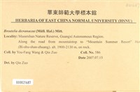 登錄號:B00021687藏品圖，第2張