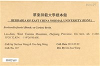 東亞小錦蘚藏品圖，第2張