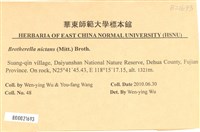 登錄號:B00021693藏品圖，第2張