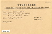 黃色真蘚藏品圖，第2張