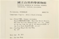 脆枝曲柄蘚藏品圖，第2張