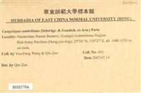 登錄號:B00021704藏品圖，第2張