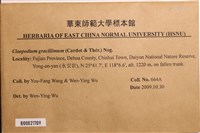 登錄號:B00021709藏品圖，第2張