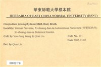 登錄號:B00021710藏品圖，第2張
