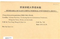 登錄號:B00021711藏品圖，第2張