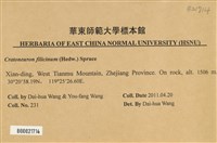 登錄號:B00021714藏品圖，第2張