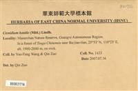 登錄號:B00021716藏品圖，第2張