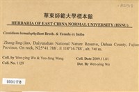 登錄號:B00021718藏品圖，第2張