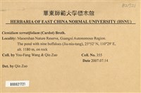 登錄號:B00021721藏品圖，第2張