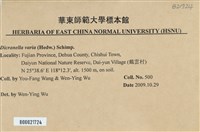登錄號:B00021724藏品圖，第2張
