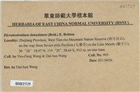 青毛苔藏品圖，第2張
