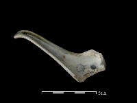 湯匙藏品圖，第1張